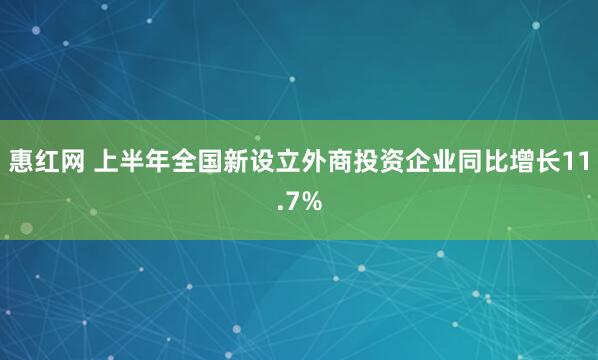 惠红网 上半年全国新设立外商投资企业同比增长11.7%