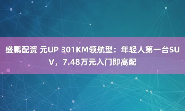 盛鹏配资 元UP 301KM领航型：年轻人第一台SUV，7.48万元入门即高配
