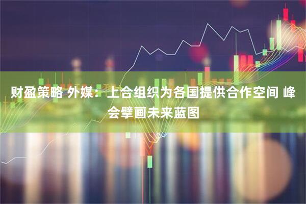 财盈策略 外媒：上合组织为各国提供合作空间 峰会擘画未来蓝图