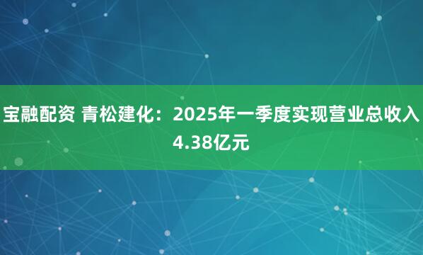 宝融配资 青松建化：2025年一季度实现营业总收入4.38亿元